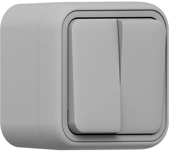 Выключатель двухклавишный EKF Бронто ОП, автоматические клеммы, серый BT1-SWG-20