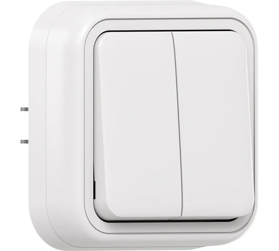 Выключатель двухклавишный EKF Бронто СП, автоматические клеммы, белый BT2-SWW-20