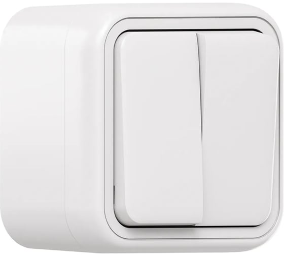 Выключатель двухклавишный EKF Бронто ОП, автоматические клеммы, белый BT1-SWW-20