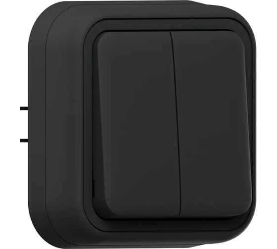 Выключатель двухклавишный EKF Бронто СП, автоматические клеммы, антрацит BT2-SWA-20