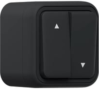 Выключатель для жалюзи EKF Бронто ОП, винтовые клеммы, антрацит BT1-SWA-25