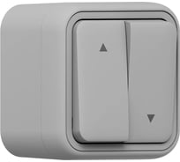 Выключатель для жалюзи EKF Бронто ОП, винтовые клеммы, серый BT1-SWG-25