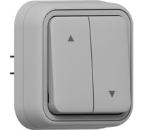 Выключатель для жалюзи EKF Бронто СП, винтовые клеммы, серый BT2-SWG-25