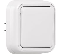 Выключатель одноклавишный кнопочный EKF Бронто СП, автоматические клеммы, белый BT2-SWW-13