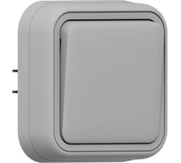 Выключатель одноклавишный кнопочный EKF Бронто СП, автоматические клеммы, серый BT2-SWG-13