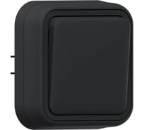 Выключатель одноклавишный кнопочный EKF Бронто СП, автоматические клеммы, антрацит BT2-SWA-13