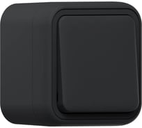 Выключатель одноклавишный кнопочный EKF Бронто ОП, автоматические клеммы, антрацит BT1-SWA-13