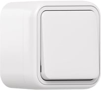 Выключатель одноклавишный кнопочный EKF Бронто ОП, автоматические клеммы, белый BT1-SWW-13