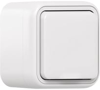 Розетка одноместная EKF Бронто ОП, винтовые клеммы, белый BT1-SOW-111