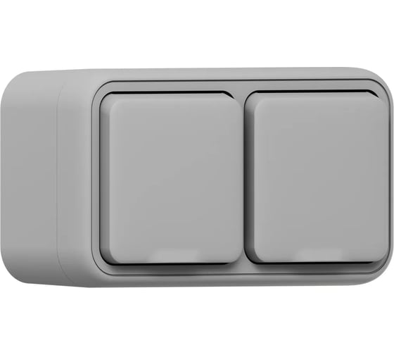 Розетка двухместная EKF Бронто ОП, винтовые клеммы, серый BT1-SOG-211