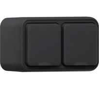 Розетка двухместная EKF Бронто ОП, винтовые клеммы, антрацит BT1-SOA-211