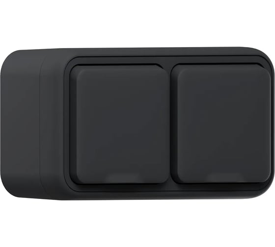 Розетка двухместная EKF Бронто ОП, винтовые клеммы, антрацит BT1-SOA-211