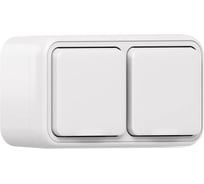 Розетка двухместная EKF Бронто ОП, винтовые клеммы, белый BT1-SOW-211