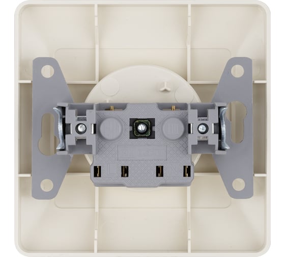 Розетка TDM ELECTRIC 2П 10А 250В слоновая кость Ильмень SQ1823-0109