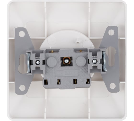 Розетка TDM ELECTRIC 2П 10А 250В белая Ильмень SQ1823-0009