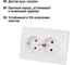 Двойная розетка TDM ELECTRIC 2П+З 16А 250В белая Ильмень SQ1823-0012 4