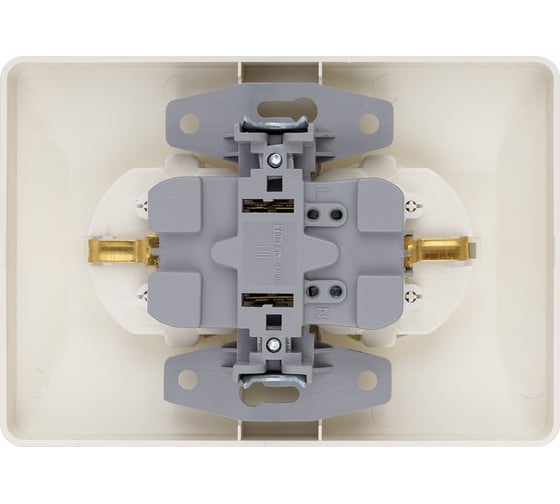Двойная розетка TDM ELECTRIC 2П+З 16А 250В слоновая кость Ильмень SQ1823-0112