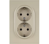 Розетка ЭРА Arktik 16-2105-04 двойная с заземлением 2X2P+E Schuko со шторками 16А-250В шампань Б0070457