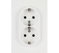 Розетка ЭРА Arktik 16-2105-08 двойная с заземлением 2X2P+E Schuko со шторками 16А-250В белый матовый Б0070461