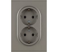 Розетка ЭРА Arktik 16-2104-07 двойная с заземлением 2X2P+E Schuko 16А-250В титан Б0070450