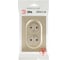 Розетка ЭРА Arktik 16-2107-04 без заземления двойная 2X2P 16А-250В шампань Б0071684 5