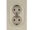 Розетка ЭРА Arktik 16-2104-04 двойная с заземлением 2X2P+E Schuko 16А-250В шампань Б0070447 1