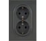 Розетка ЭРА Arktik 16-2104-06 двойная с заземлением 2X2P+E Schuko 16А-250В графит Б0070449 1