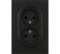 Розетка ЭРА Arktik 16-2107-05 без заземления двойная 2X2P 16А-250В антрацит Б0071685