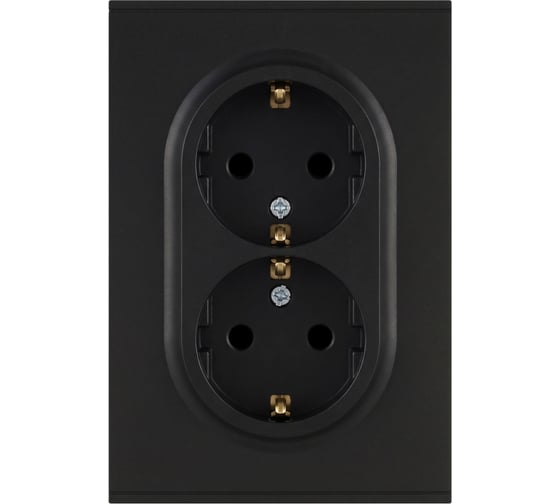 Розетка ЭРА Arktik 16-2105-05 двойная с заземлением 2X2P+E Schuko со шторками 16А-250В антрацит Б0070458