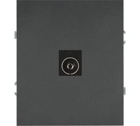 Розетка ЭРА Arktik 16-3101-06 TV одиночная графит Б0070469