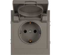 Розетка ЭРА Arktik 16-2103-07 с заземлением 2P+E Schuko со шторками с крышкой 16А-250В титан Б0070440