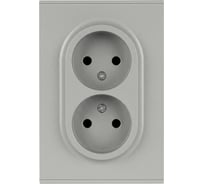 Розетка ЭРА Arktik 16-2107-03 без заземления двойная 2X2P 16А-250В алюминий Б0071683