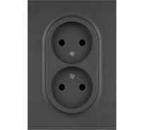 Розетка ЭРА Arktik 16-2107-06 без заземления двойная 2X2P 16А-250В графит Б0071686