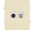 Розетка ЭРА Arktik 16-3110-02 комбинированная RJ45+TV слоновая кость Б0070495 1