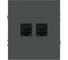 Розетка ЭРА Arktik 16-3108-06 информационная двойная 2XRJ45 графит Б0070489 2