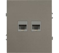 Розетка ЭРА Arktik 16-3108-07 информационная двойная 2XRJ45 титан Б0070490
