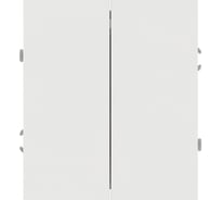 Переключатель ЭРА Arktik 16-1106-01 двойной 10АХ-250В белый Б0070364