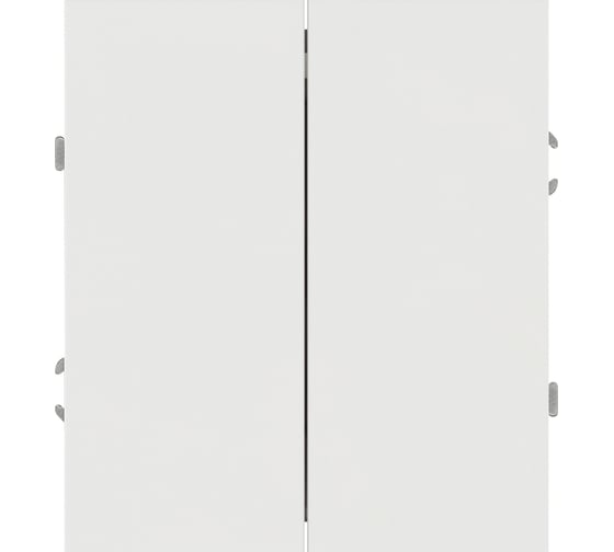 Переключатель ЭРА Arktik 16-1106-01 двойной 10АХ-250В белый Б0070364