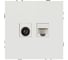 Розетка ЭРА Galaxy 15-3110-01 комбинированная RJ45+TV IP20 белый Б0070776 2