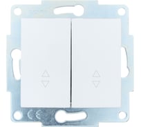 Выключатель Lezard ASTI проходной двойной белый механизм 7081-0288-106