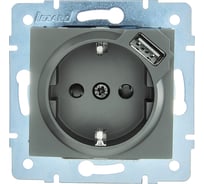 Розетка Lezard ASTI с заземлением + USB разъём платина механизм 7081-3588-181