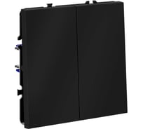 Выключатель встраиваемый Voltum S70 двухклавишный 10А, (графит) VLS020107