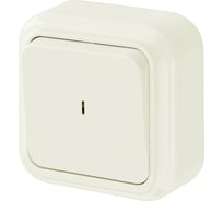 Выключатель Bylectrica 1-клавишная, открытая установка, 10А с подсветкой, серия ПРАЛЕСКА, бежевый А110-214