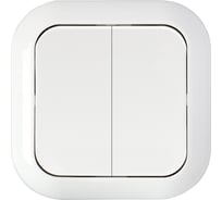 Выключатель Bylectrica 2-клавишная, скрытая установка 10А IP44, серия ГАРМОНИЯ, белый, С510-819