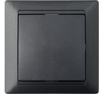 Выключатель Bylectrica 1-клавишный, скрытая установка, 10А, перекрестный, серия СТИЛЬ, С6/2 10-825 графит