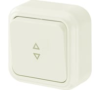 Выключатель Bylectrica 1-клавишный, открытая установка, 6А проходной, серия ПРАЛЕСКА, А610-147 бежевый