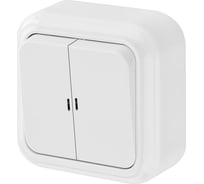 Выключатель Bylectrica 2-клавишная, открытая установка, 10А с подсветкой, серия ПРАЛЕСКА, белый, А510-215