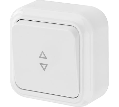 Выключатель Bylectrica 1-клавишный открытая установка, 6А проходной, серия ПРАЛЕСКА, белый, А610-147