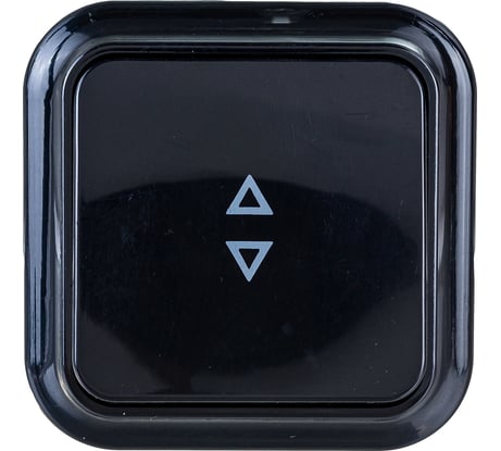 Выключатель Bylectrica 1-клавишный открытая установка, 6А проходной, серия ПРАЛЕСКА, А610-147 черный