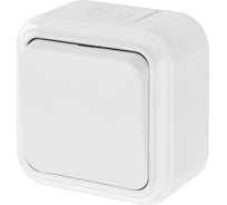 Выключатель Bylectrica 1-клавишная, открытая установка, 4А IP44, серия Прочие изделия, белый, А14-100